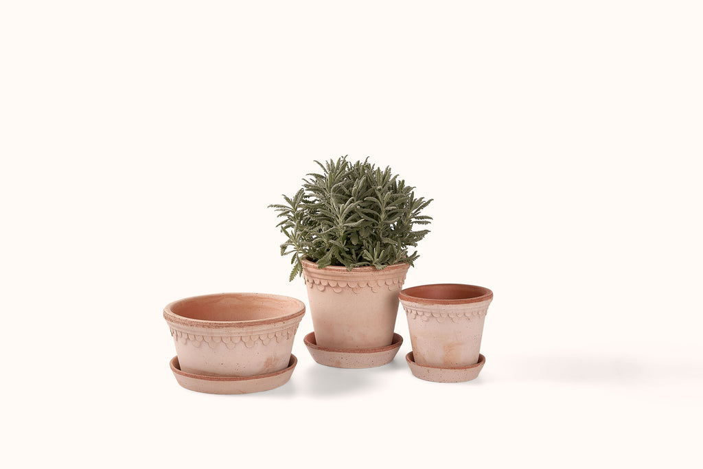 BERGS POTTER ROSA KØBENHAVNER TERRACOTTA POT AND SAUCER