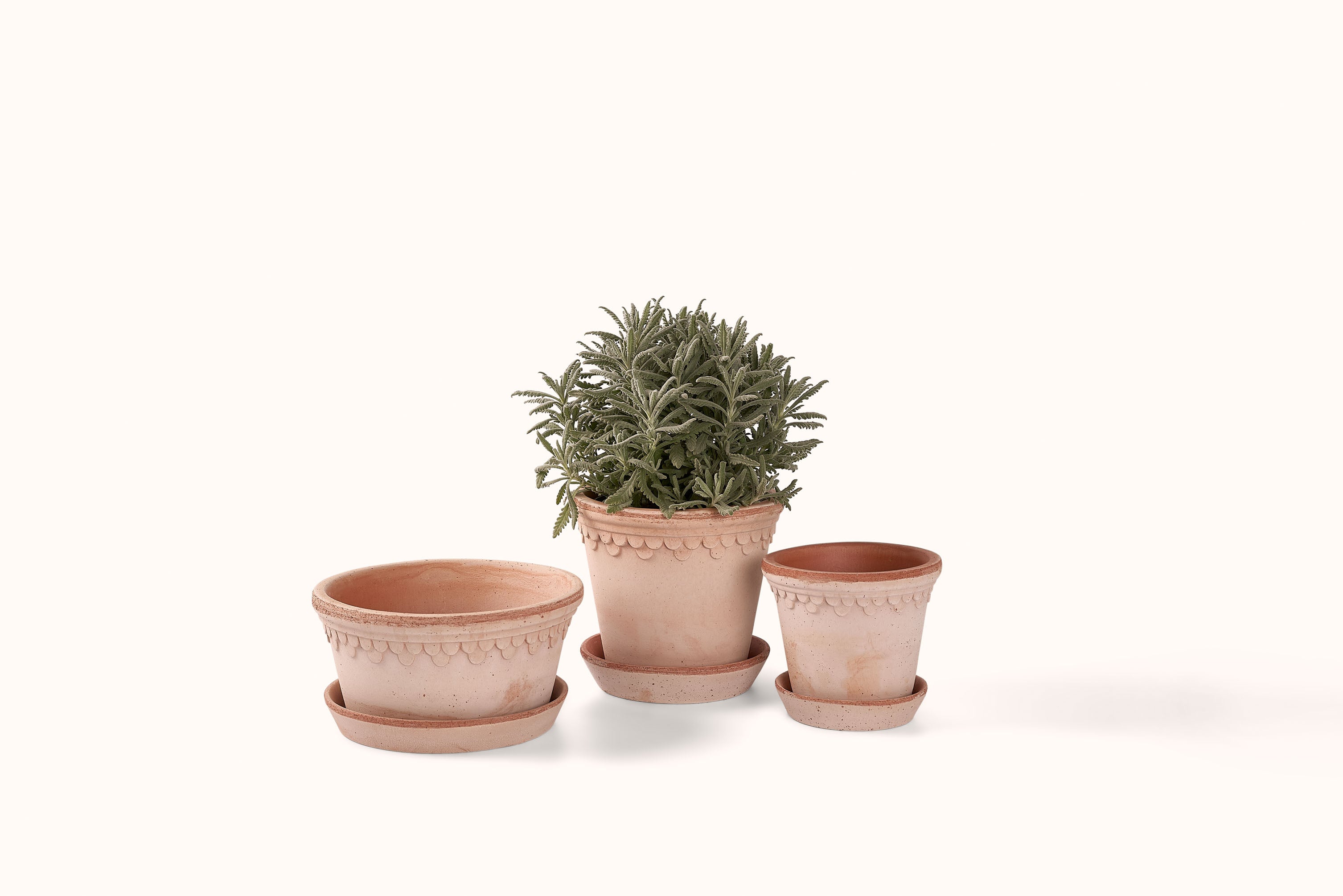 BERGS POTTER ROSA KØBENHAVNER TERRACOTTA POT AND SAUCER