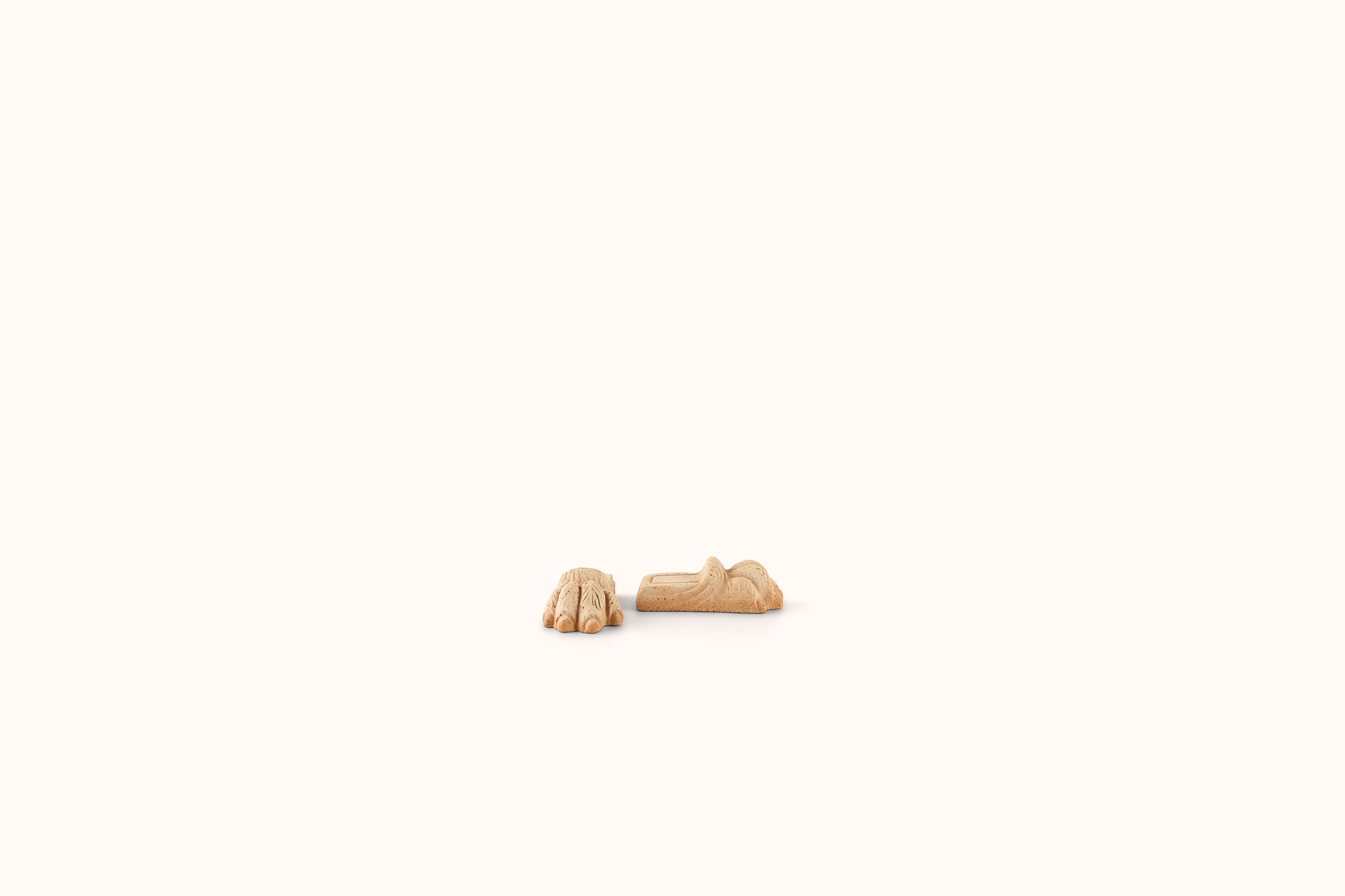 BERGS POTTER ROSA TERRACOTTA LIONS PAW PLANTER FOOT