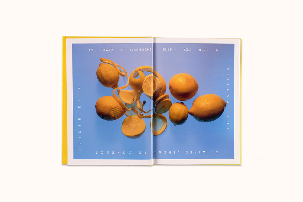 SQUEEZE ME:  LEMON RECIPES & ART BY RUTHIE ROGERS