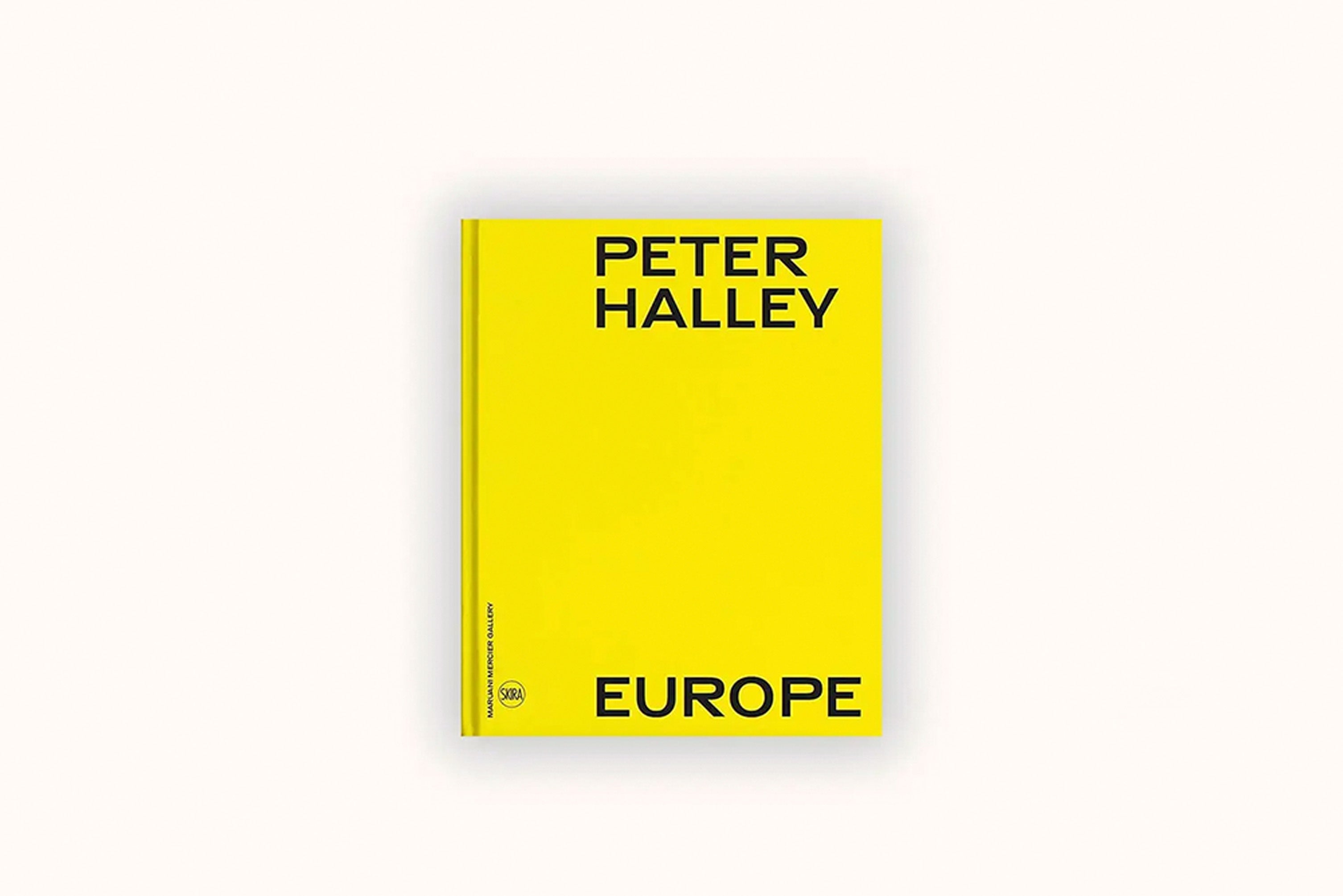 PETER HALLEY:  EUROPE BY DOMITILLE D'ORGEVAL