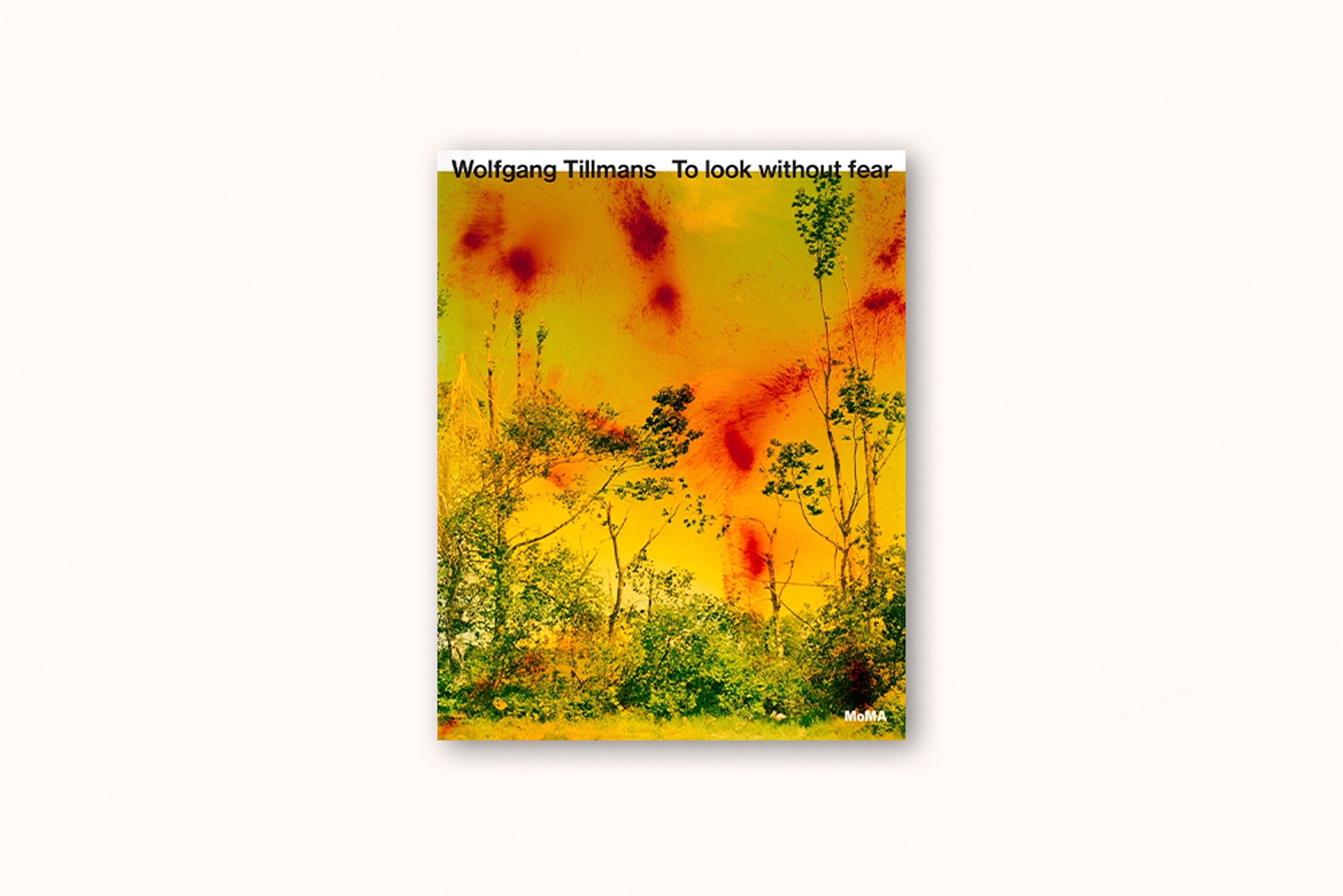 WOLFGANG TILLMANS:  TO LOOK WITHOUT FEAR BY ROXANA MARCOCI