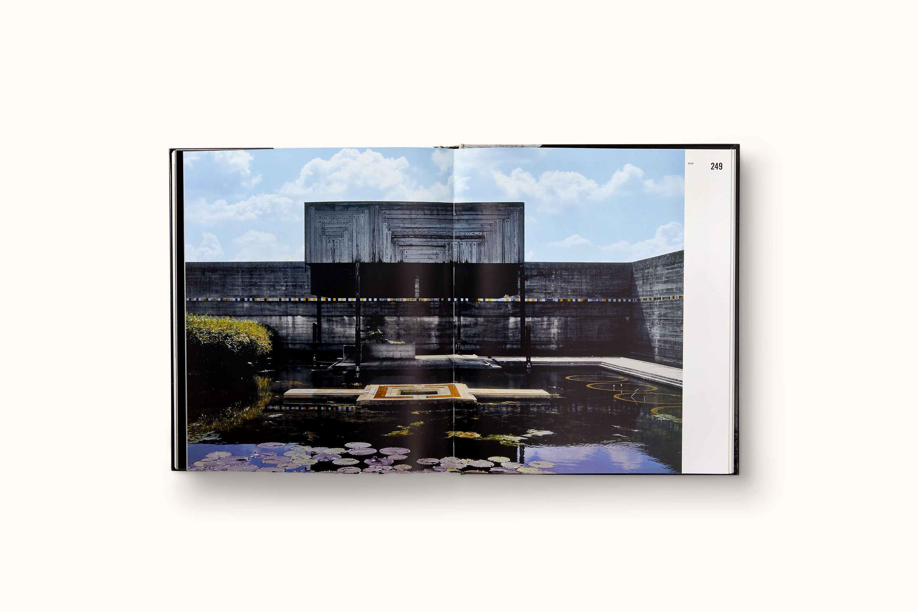 CARLO SCARPA BY ROBERT MCCARTER