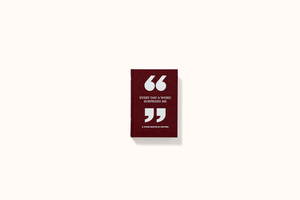 EVERY DAY A WORD SURPRISES ME & OTHER QUOTES BY WRITERS BY PHAIDON EDITORS