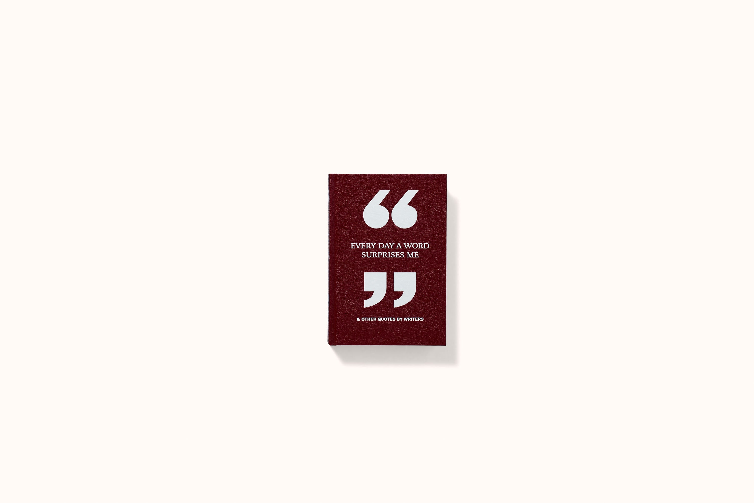 EVERY DAY A WORD SURPRISES ME & OTHER QUOTES BY WRITERS BY PHAIDON EDITORS