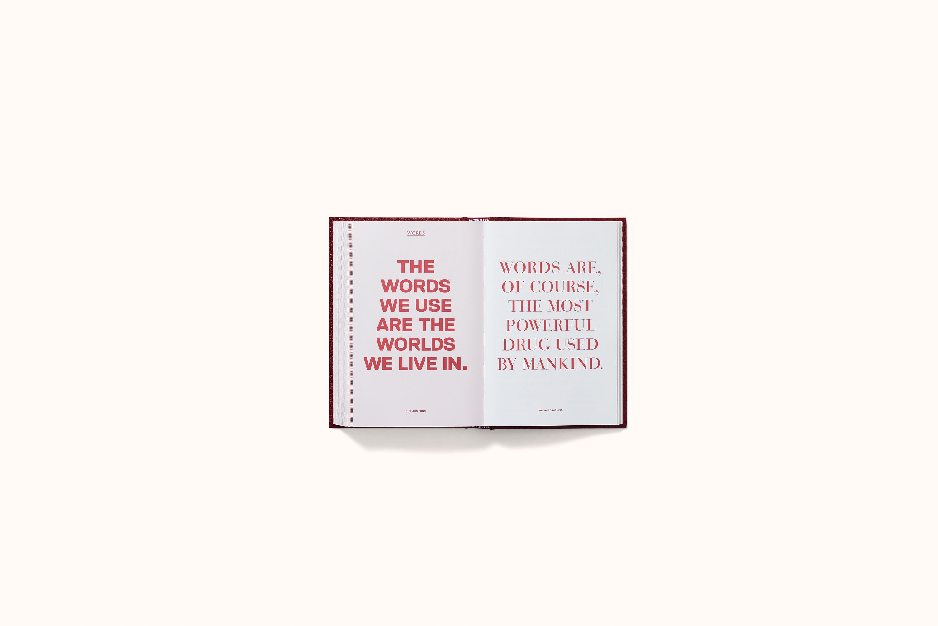 EVERY DAY A WORD SURPRISES ME & OTHER QUOTES BY WRITERS BY PHAIDON EDITORS