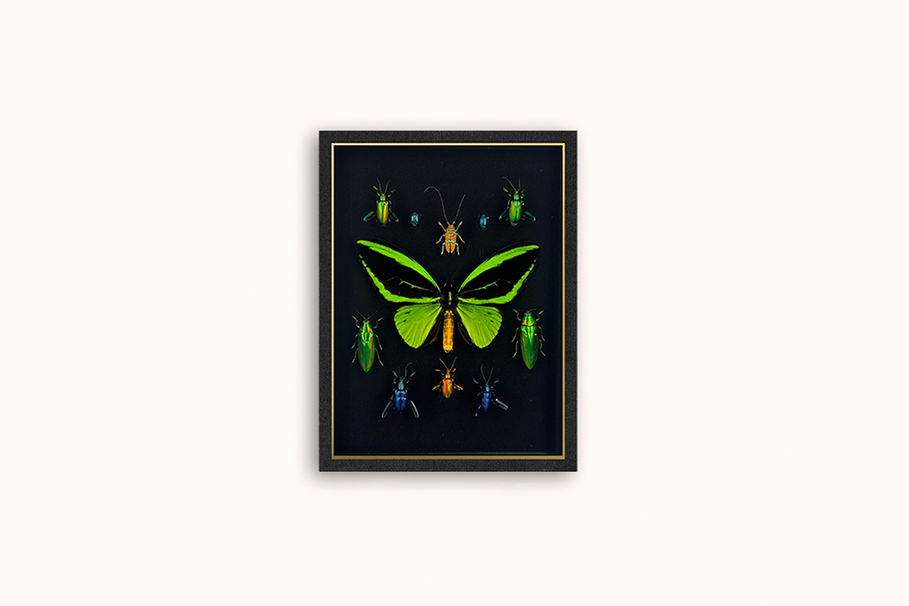 HASHARAT 'EMERALD CITY' FRAMED COMPOSTION