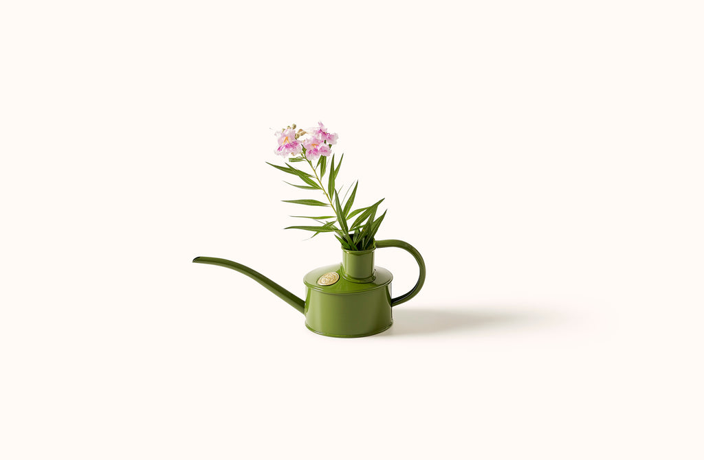 HAWS 1 PINT FERN GREEN WATERING CAN
