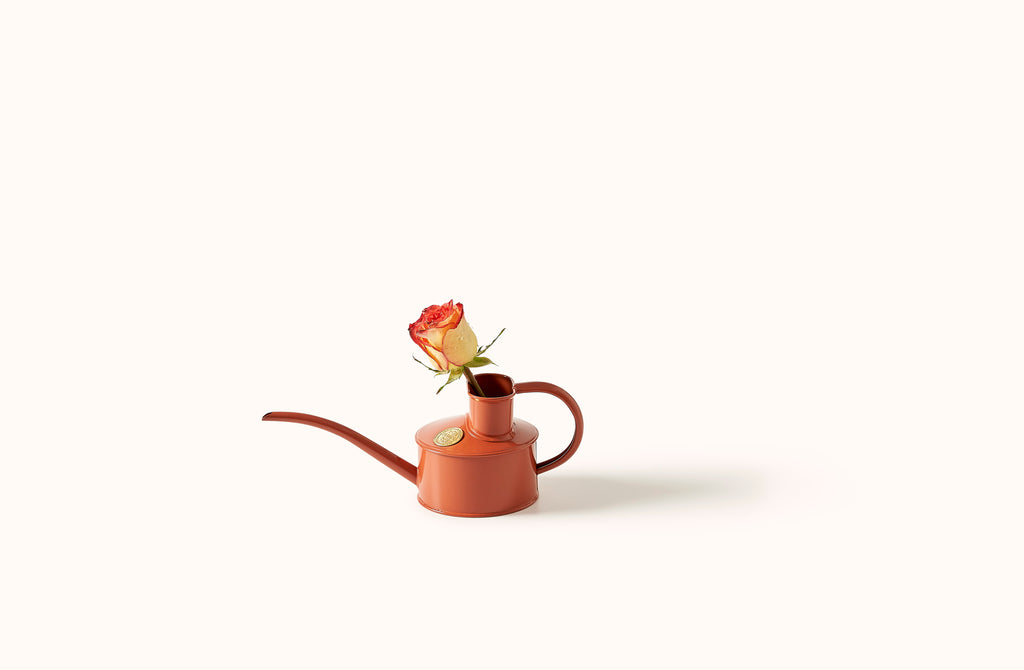 HAWS 1 PINT TERRA COTTA  WATERING CAN