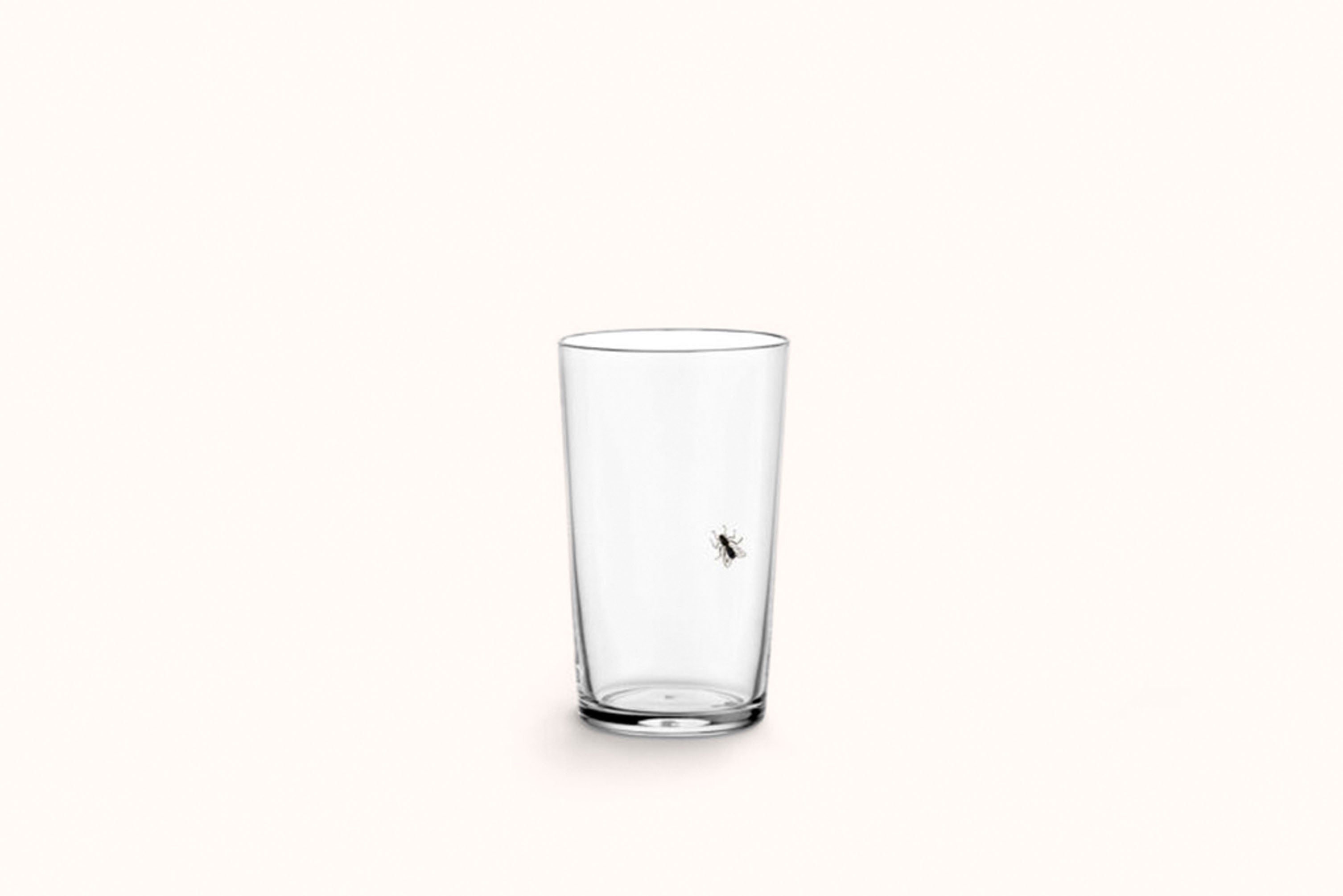 LOBMEYR PAINTED FLY TUMBLER