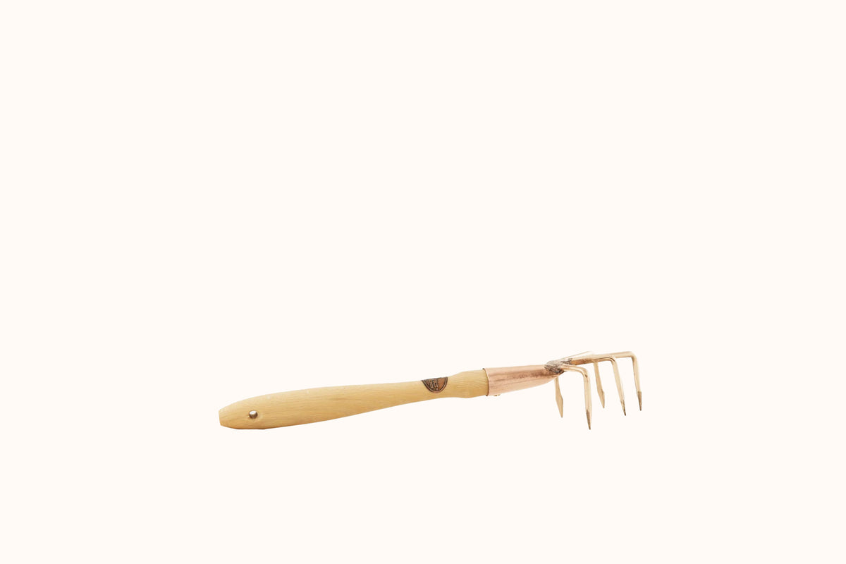 PKS BRONZE COPPER LYRA HAND CLAW
