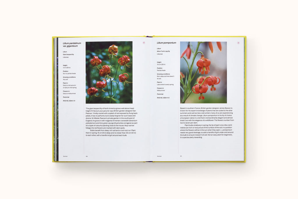 A YEAR IN BLOOM: FLOWERING BULBS FOR EVERY SEASON BY LUCY BELLAMY