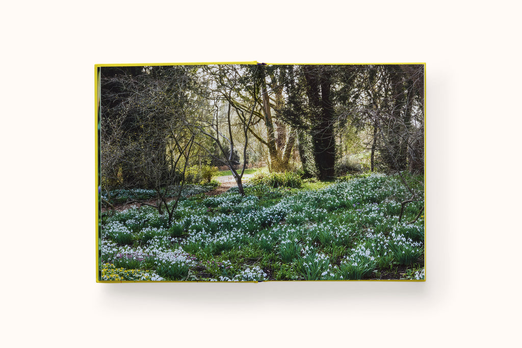 A YEAR IN BLOOM: FLOWERING BULBS FOR EVERY SEASON BY LUCY BELLAMY