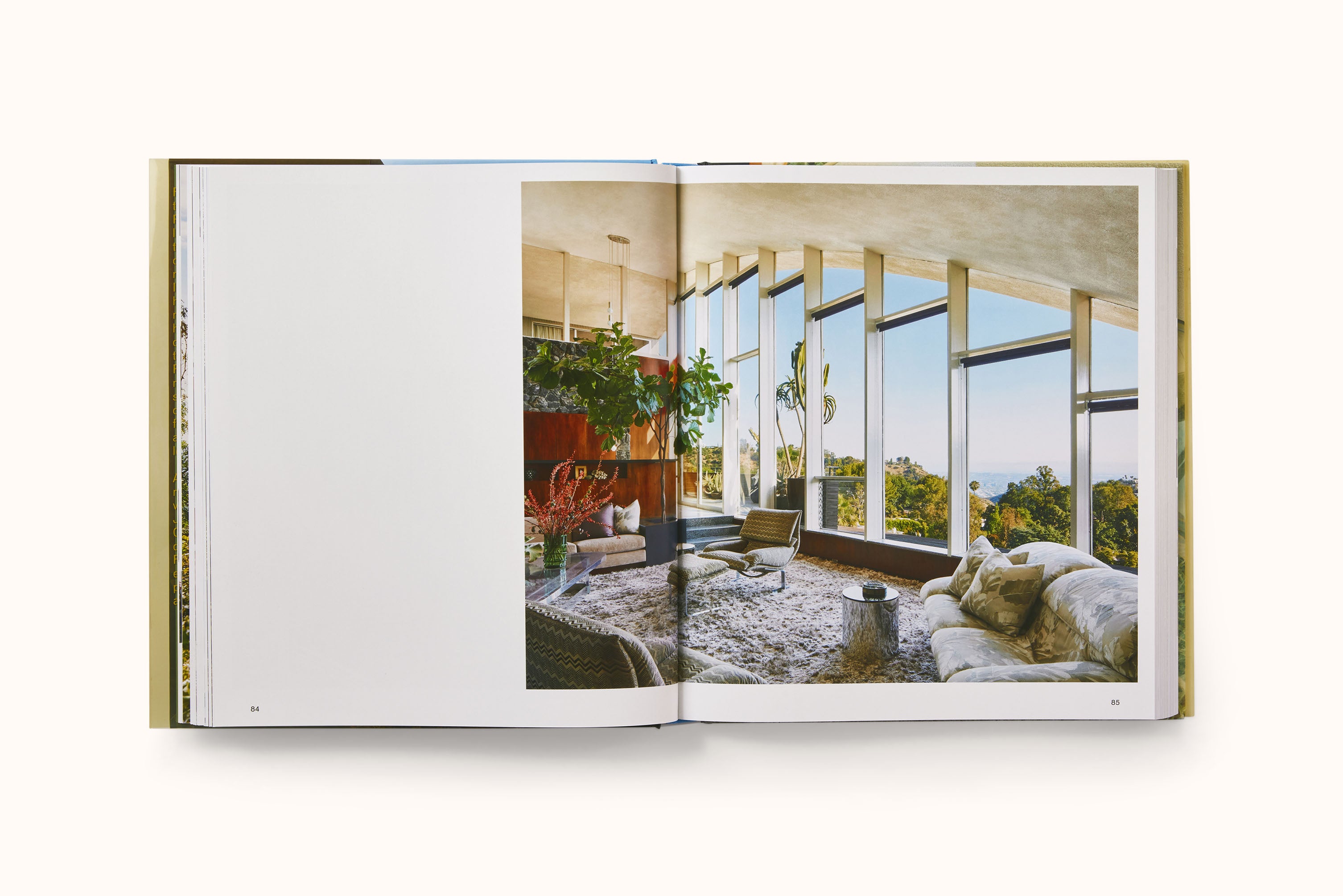 BEYOND THE CANYON: INSIDE EPIC CALIFORNIA HOMES BY ROGER DAVIES