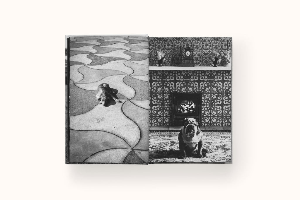 DOGSDOGS BY ELLIOTT ERWHITT