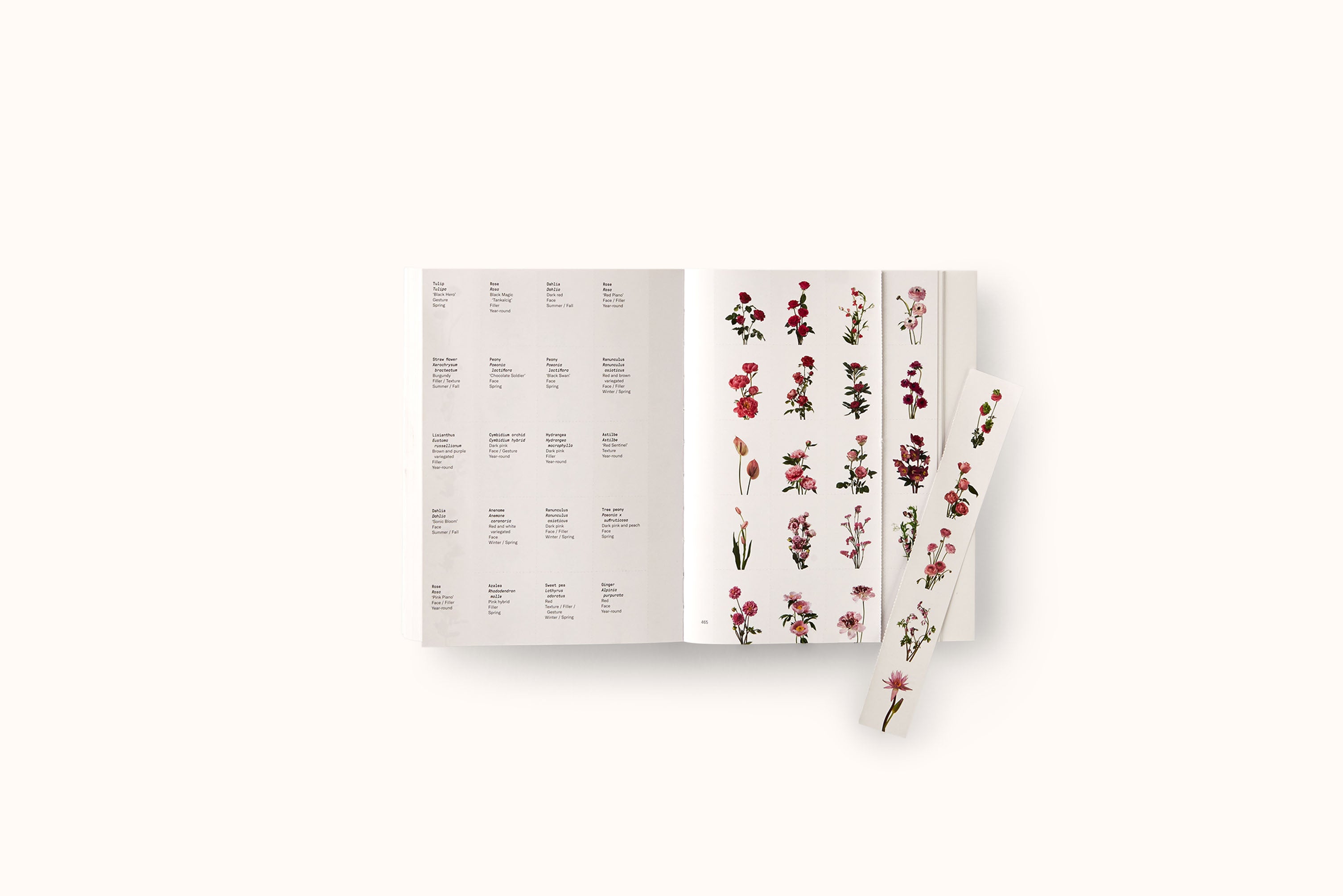 FLOWER COLOR GUIDE BY TAYLOR PUTNAM & MICHAEL PUTNAM