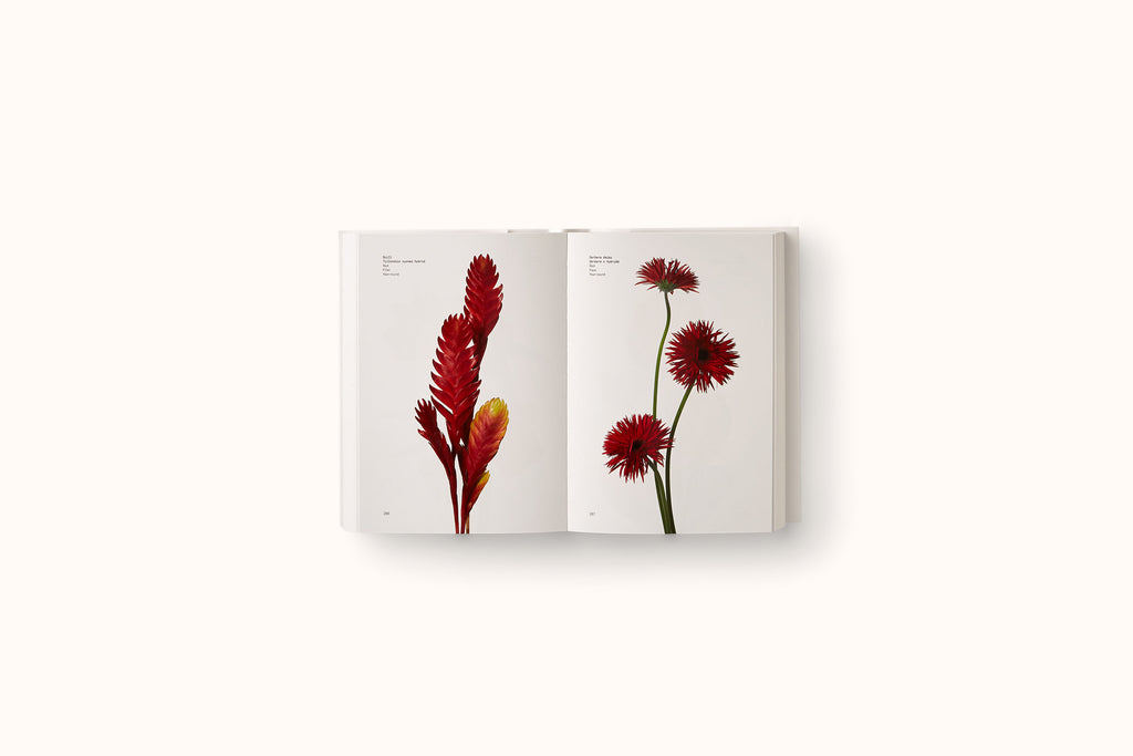 FLOWER COLOR GUIDE BY TAYLOR PUTNAM & MICHAEL PUTNAM
