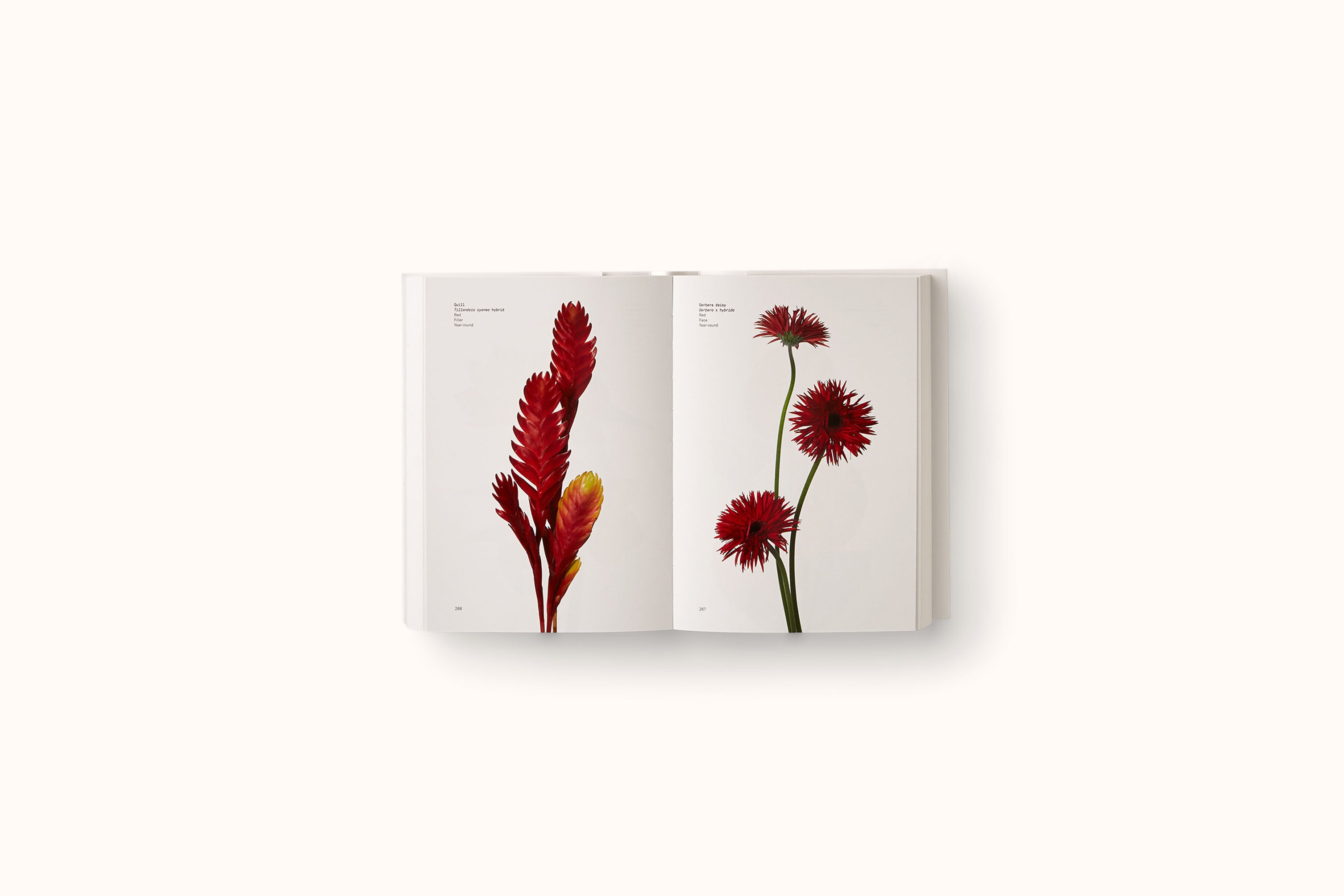 FLOWER COLOR GUIDE BY TAYLOR PUTNAM & MICHAEL PUTNAM