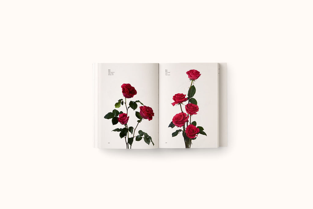FLOWER COLOR GUIDE BY TAYLOR PUTNAM & MICHAEL PUTNAM