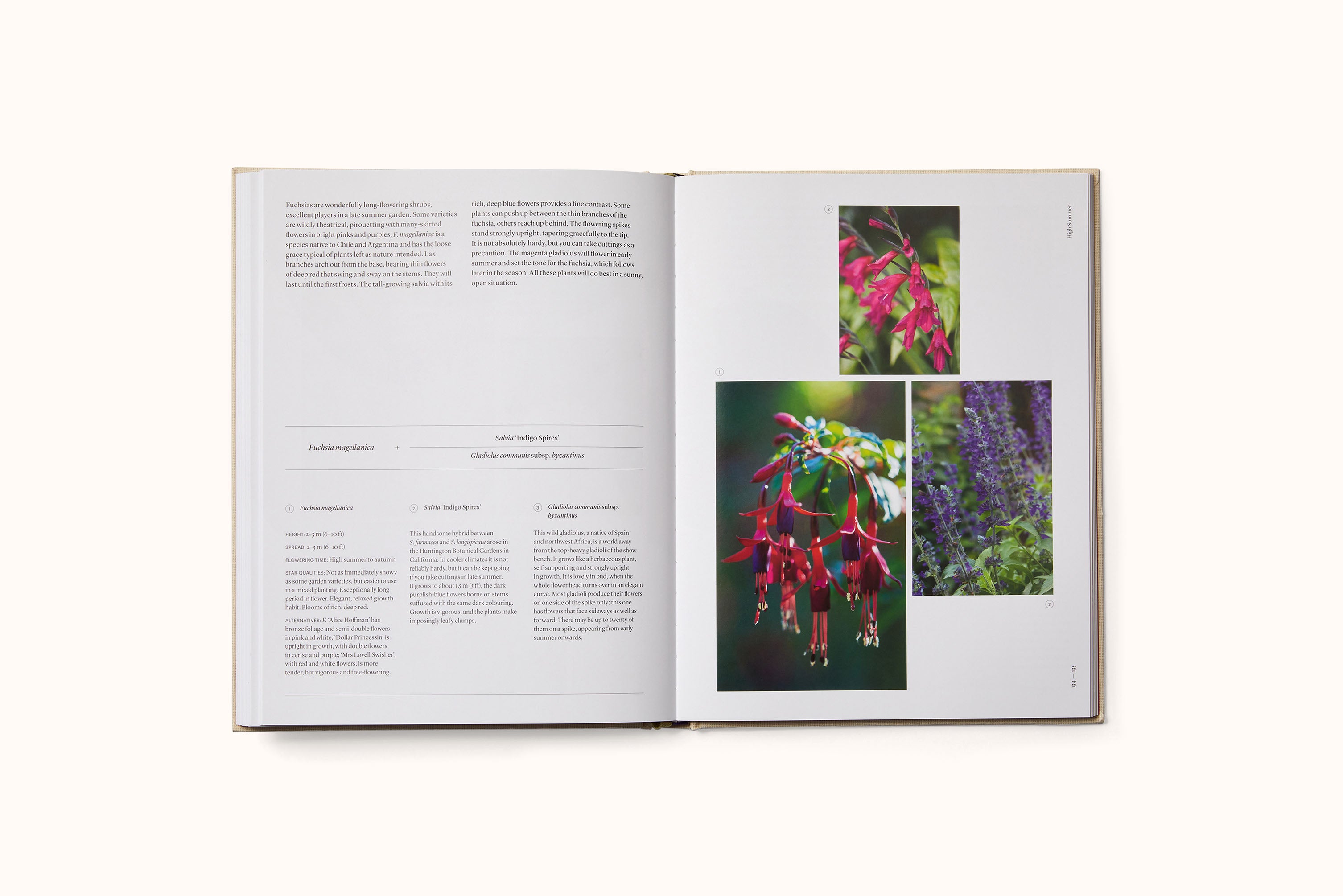 THE SEASONAL GARDENER: CREATIVE PLANTING COMBINATIONS BY ANNA PAVORD