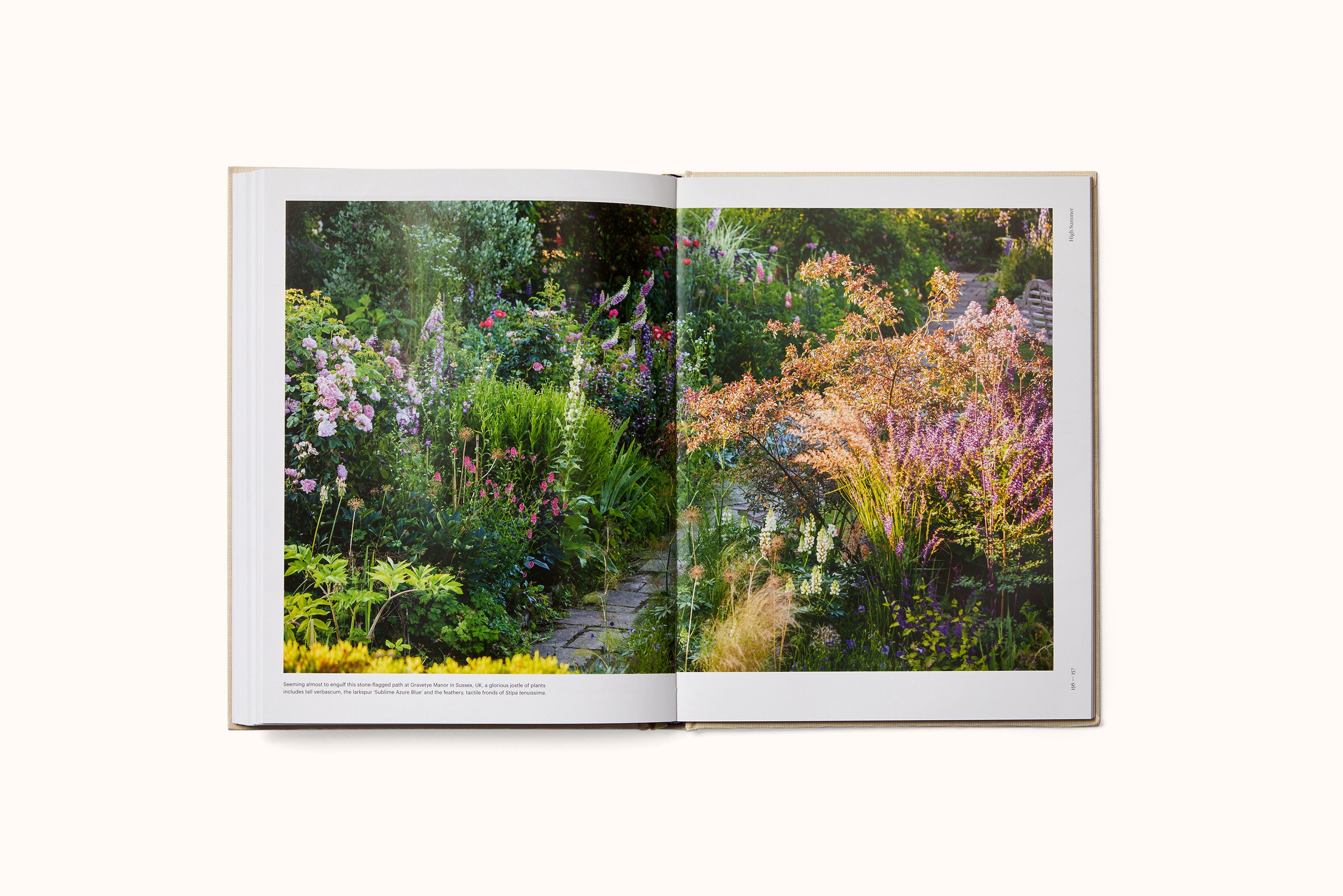 THE SEASONAL GARDENER: CREATIVE PLANTING COMBINATIONS BY ANNA PAVORD